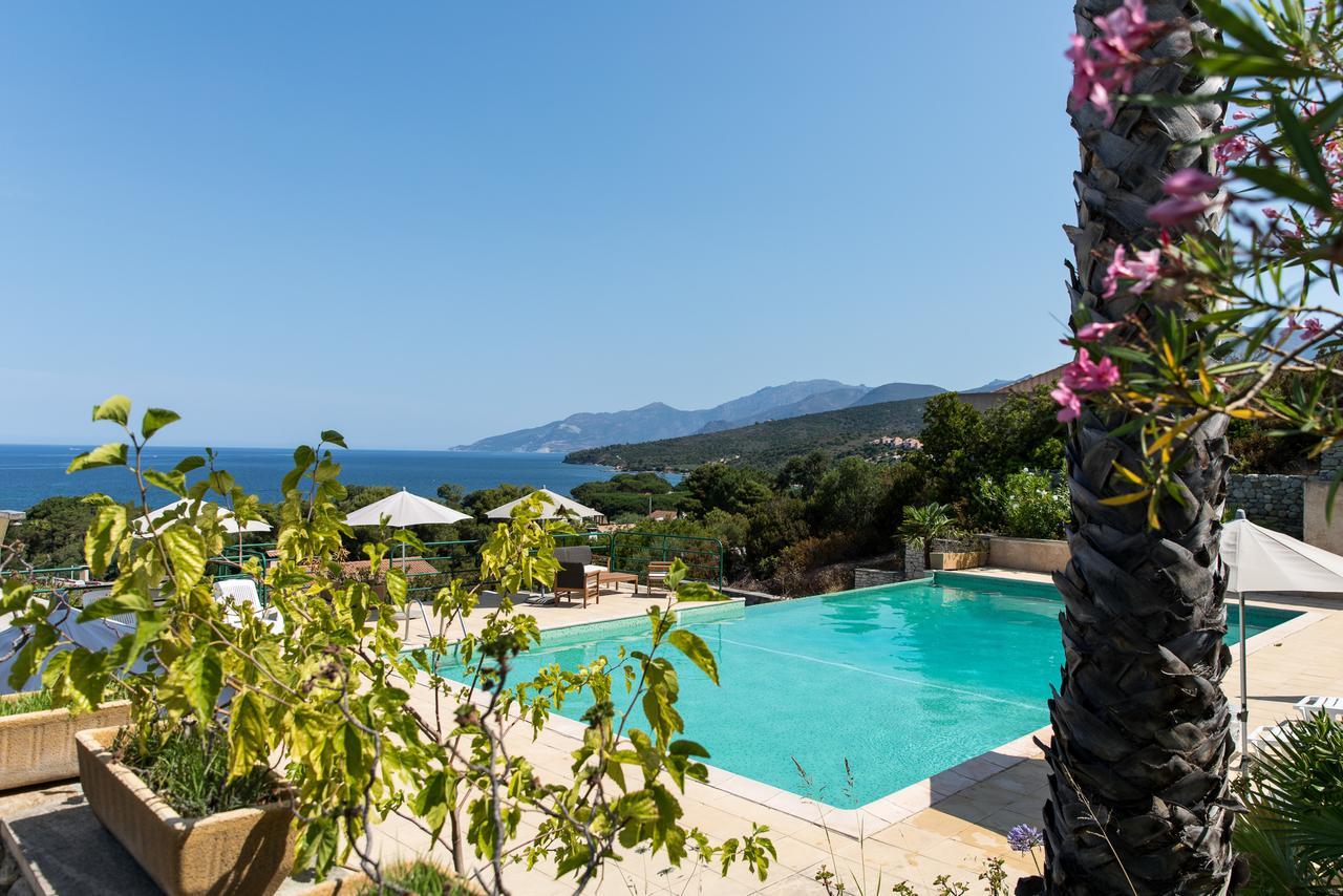 Costa D'oru
